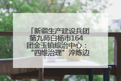 新疆生产建设兵团第九师白杨市164团金玉镇综治中心：“四维治理”淬炼边疆“枫桥样本”