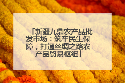 新疆九鼎农产品批发市场：筑牢民生保障，打通丝绸之路农产品贸易枢纽