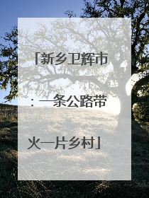 新乡卫辉市：一条公路带火一片乡村