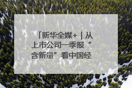 新华全媒+｜从上市公司一季报“含新量”看中国经济发展向“新”