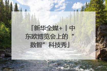 新华全媒+丨中东欧博览会上的“数智”科技秀