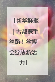 新华鲜报｜古都携手丝路！丝博会绽放新活力