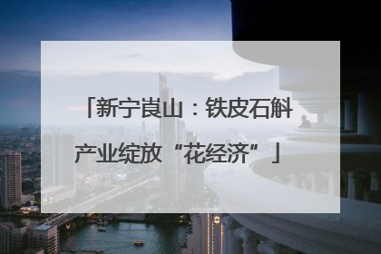 新宁崀山：铁皮石斛产业绽放“花经济”