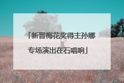 新晋梅花奖得主孙娜专场演出在石唱响