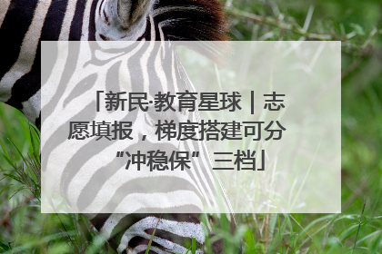 新民·教育星球｜志愿填报，梯度搭建可分“冲稳保”三档