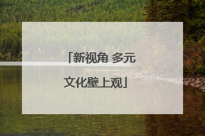 新视角 多元文化壁上观