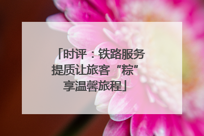 时评：铁路服务提质让旅客“粽”享温馨旅程