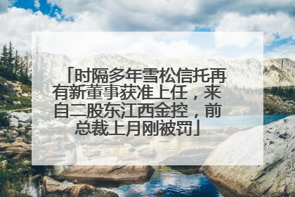 时隔多年雪松信托再有新董事获准上任，来自二股东江西金控，前总裁上月刚被罚