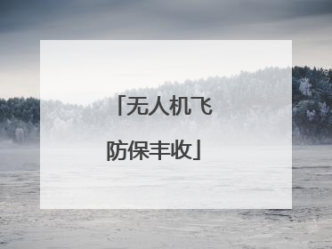 无人机飞防保丰收