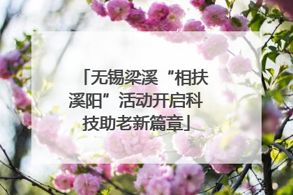 无锡梁溪“相扶溪阳”活动开启科技助老新篇章