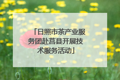 日照市茶产业服务团赴莒县开展技术服务活动