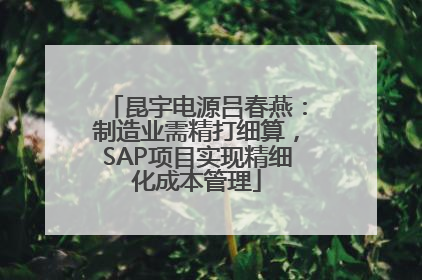 昆宇电源吕春燕：制造业需精打细算，SAP项目实现精细化成本管理