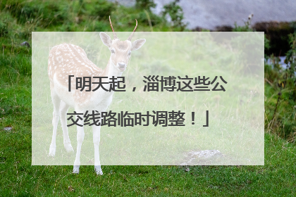 明天起，淄博这些公交线路临时调整！
