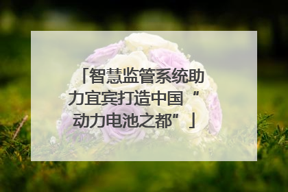 智慧监管系统助力宜宾打造中国“动力电池之都”