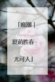 晚潮｜夏荫胜春尤可人