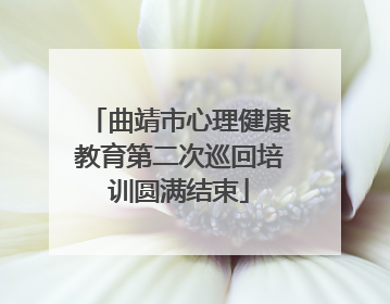 曲靖市心理健康教育第二次巡回培训圆满结束