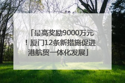 最高奖励9000万元！厦门12条新措施促进港航贸一体化发展