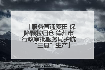 服务直通麦田 保障颗粒归仓 德州市行政审批服务局护航“三夏”生产