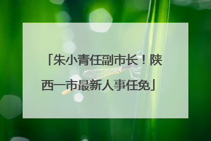 朱小青任副市长！陕西一市最新人事任免