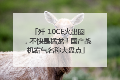 歼-10CE火出圈，不愧是猛龙！国产战机霸气名称大盘点