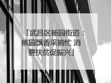 武昌区杨园街道：桃园飘香采摘忙 消费扶贫促振兴