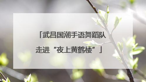 武昌国潮手语舞蹈队走进“夜上黄鹤楼”