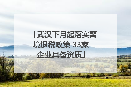 武汉下月起落实离境退税政策 33家企业具备资质