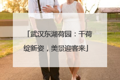 武汉东湖荷园：千荷绽新姿，美景迎客来