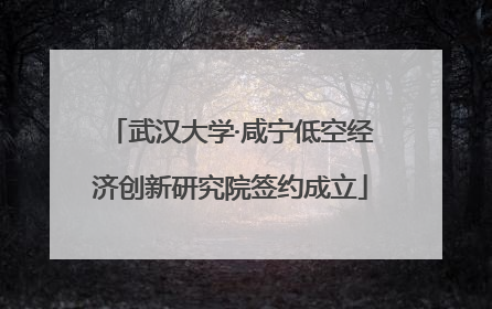 武汉大学·咸宁低空经济创新研究院签约成立
