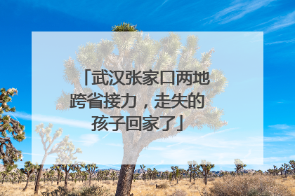 武汉张家口两地跨省接力，走失的孩子回家了