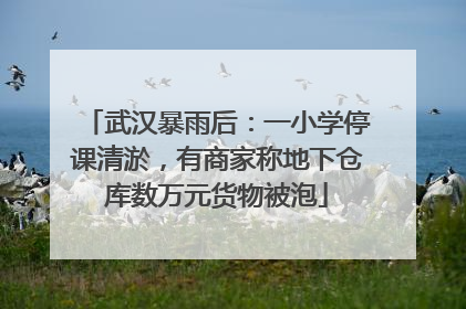 武汉暴雨后：一小学停课清淤，有商家称地下仓库数万元货物被泡