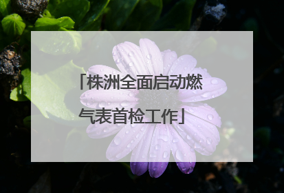 株洲全面启动燃气表首检工作