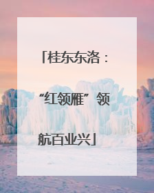 桂东东洛：“红领雁”领航百业兴