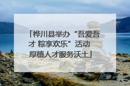 桦川县举办“吾爱吾才 粽享欢乐”活动 厚植人才服务沃土