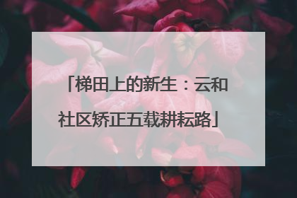 梯田上的新生：云和社区矫正五载耕耘路