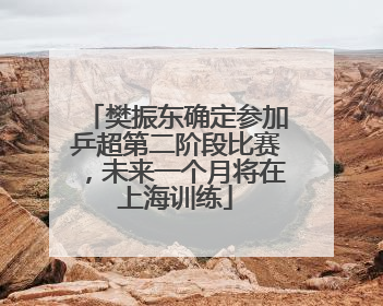 樊振东确定参加乒超第二阶段比赛，未来一个月将在上海训练