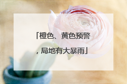 橙色、黄色预警，局地有大暴雨