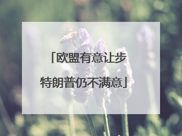 欧盟有意让步 特朗普仍不满意