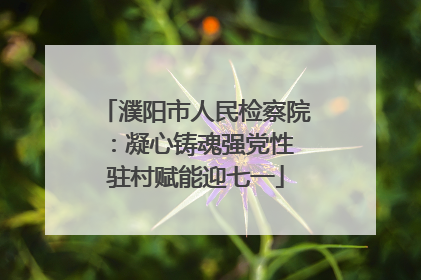濮阳市人民检察院：凝心铸魂强党性 驻村赋能迎七一
