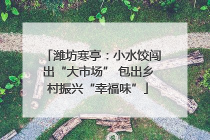 潍坊寒亭：小水饺闯出“大市场” 包出乡村振兴“幸福味”