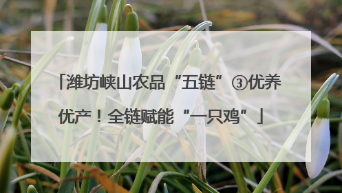 潍坊峡山农品“五链”③优养优产！全链赋能“一只鸡”