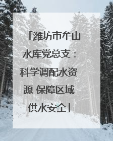 潍坊市牟山水库党总支：科学调配水资源 保障区域供水安全