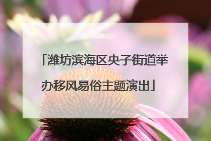 潍坊滨海区央子街道举办移风易俗主题演出