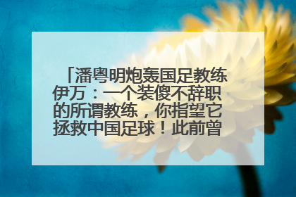 潘粤明炮轰国足教练伊万：一个装傻不辞职的所谓教练，你指望它拯救中国足球！此前曾多次发文评价国足