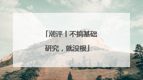 潮评丨不搞基础研究，就没根