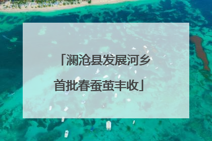 澜沧县发展河乡首批春蚕茧丰收