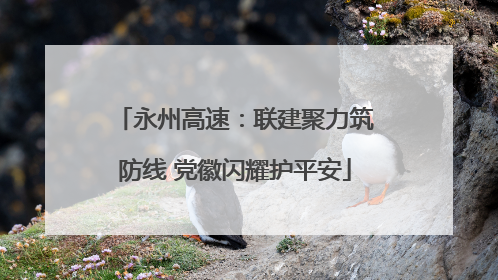 永州高速：联建聚力筑防线 党徽闪耀护平安