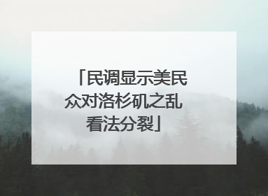 民调显示美民众对洛杉矶之乱看法分裂