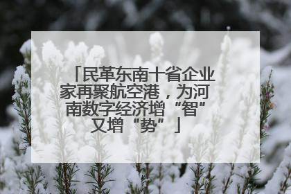 民革东南十省企业家再聚航空港，为河南数字经济增“智”又增“势”