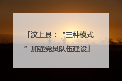 汶上县：“三种模式”加强党员队伍建设